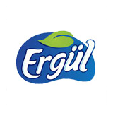 Ergül